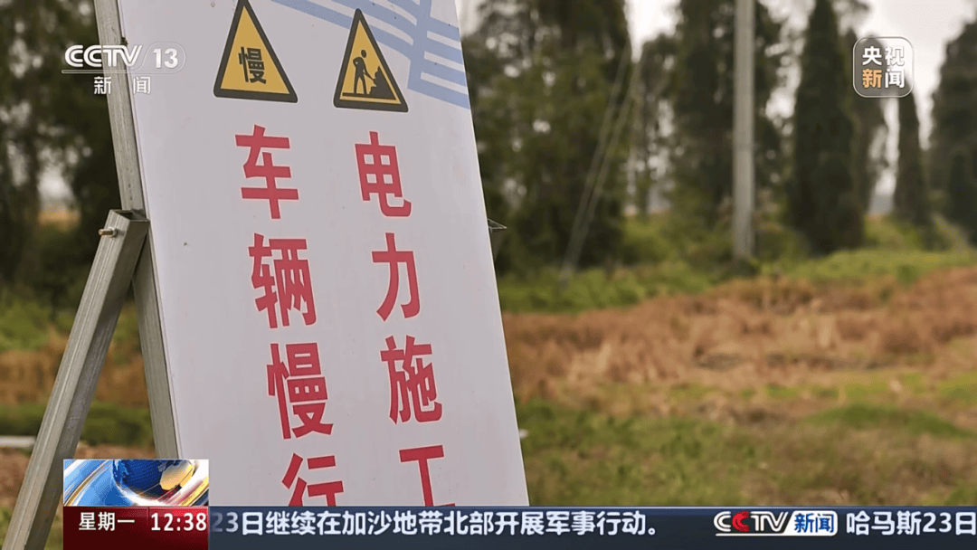 深圳女子被挂高压线!停电救援<strong></p>
<p>玫瑰币</strong>,9池鱼死光!他怒上法庭……