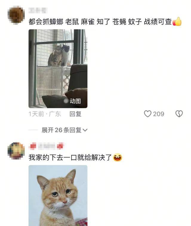 老鼠掉进泳池<strong></p>
<p>玫瑰币</strong>，广东大叔出动鸡猫狗团队，结果全被老鼠吓跑！网友坐不住纷纷晒战绩