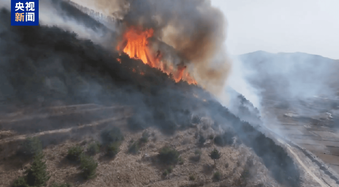 山西发生一起火情<strong></p>
<p>玫瑰币</strong>!最新消息:纵火人员已被抓获