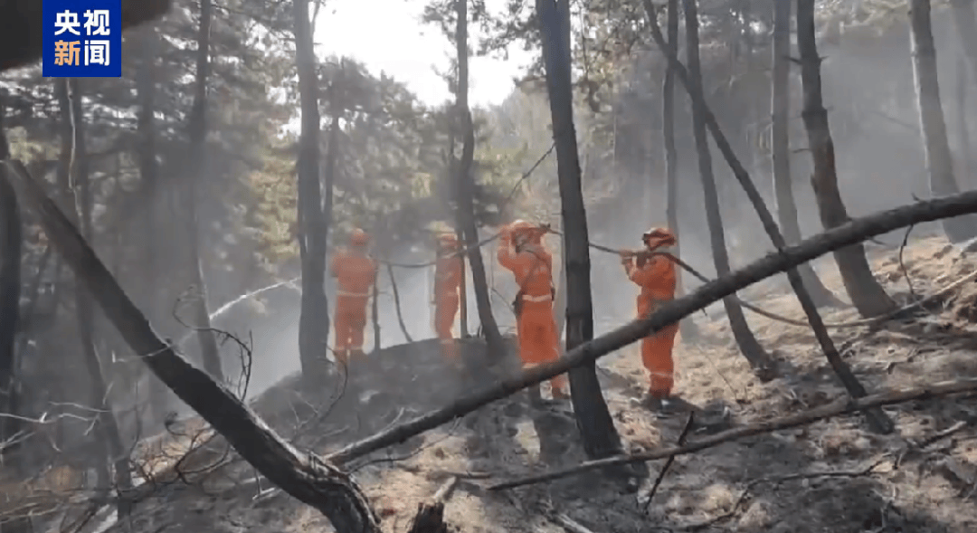 山西发生一起火情<strong></p>
<p>玫瑰币</strong>!最新消息:纵火人员已被抓获