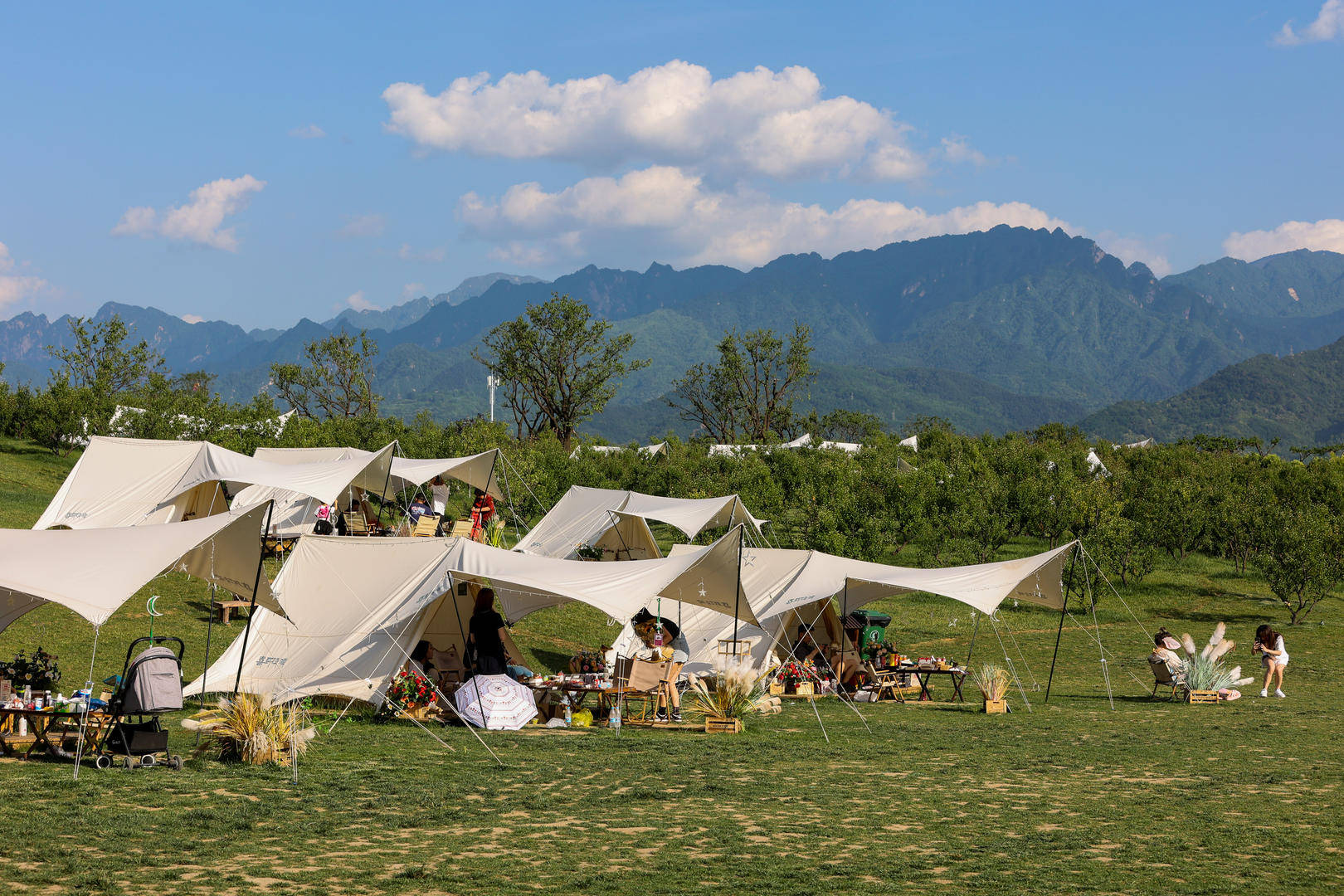 原价499元的天幕现在卖148元<strong></p>
<p>币乎行情</strong>,二手平台现露营装备低价甩卖