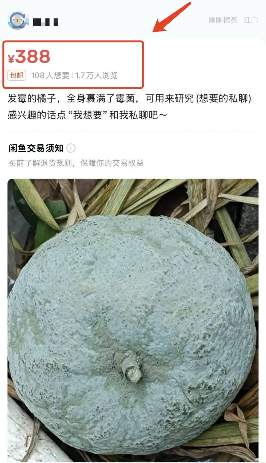 突然火了<strong></p>
<p>币乎行情</strong>!有人卖500元一个!网友:后悔扔了……