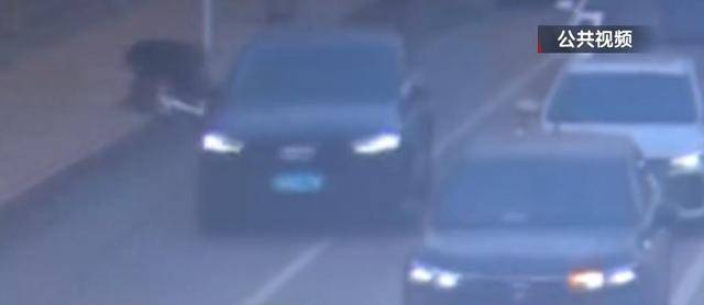 骑自行车碰瓷!北京一六旬男子骗取25人共4.6万余元<strong></p>
<p>币乎行情</strong>,法院判了