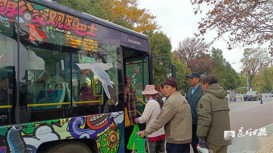 昆明观鸥专线服务游客18万人次