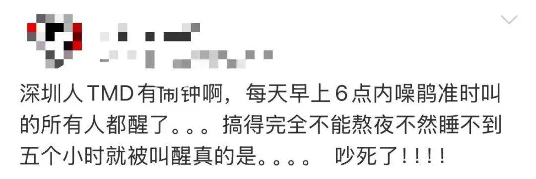 “周末想睡个懒觉都不行”<strong></p>
<p>满币网首页</strong>，有多少深圳人被这种鸟吵到神经衰弱