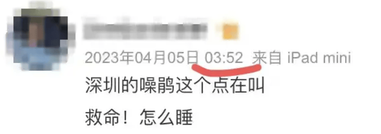 “周末想睡个懒觉都不行”<strong></p>
<p>满币网首页</strong>，有多少深圳人被这种鸟吵到神经衰弱