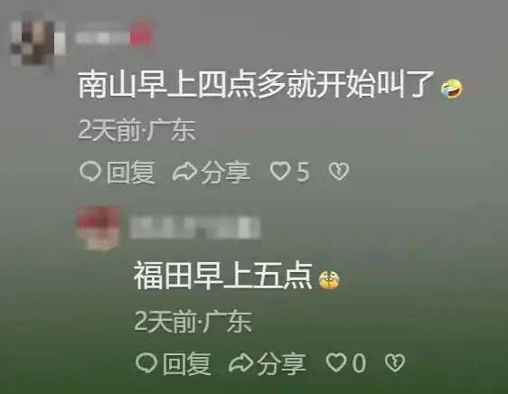 “周末想睡个懒觉都不行”<strong></p>
<p>满币网首页</strong>，有多少深圳人被这种鸟吵到神经衰弱