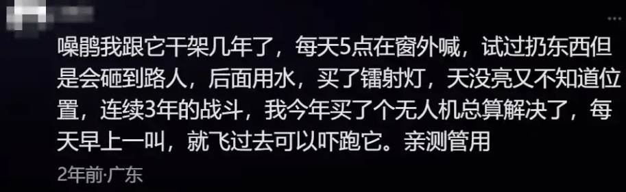“周末想睡个懒觉都不行”<strong></p>
<p>满币网首页</strong>，有多少深圳人被这种鸟吵到神经衰弱