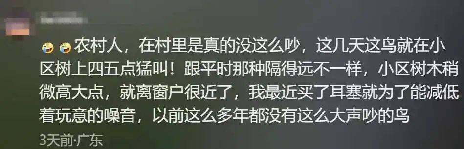 “周末想睡个懒觉都不行”<strong></p>
<p>满币网首页</strong>，有多少深圳人被这种鸟吵到神经衰弱
