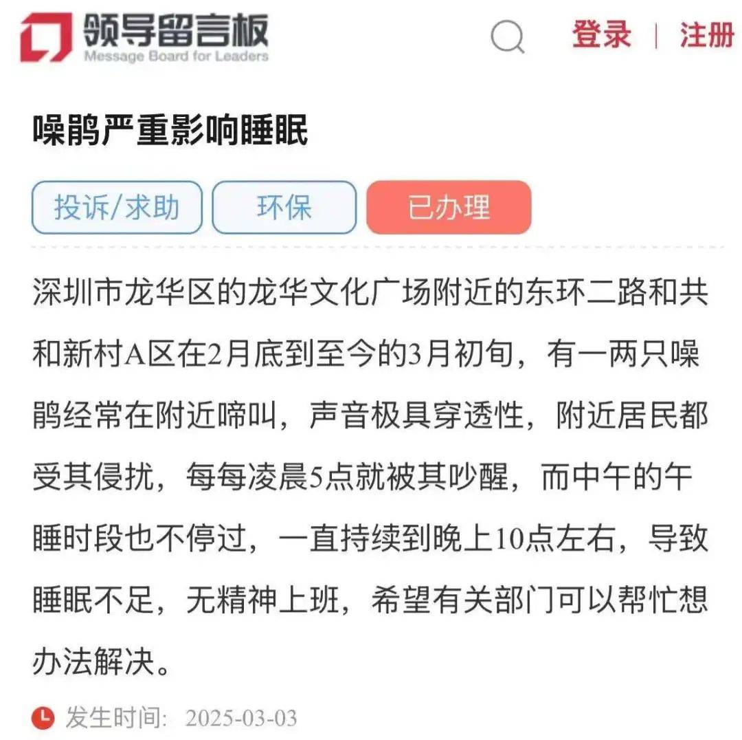 “周末想睡个懒觉都不行”<strong></p>
<p>满币网首页</strong>，有多少深圳人被这种鸟吵到神经衰弱