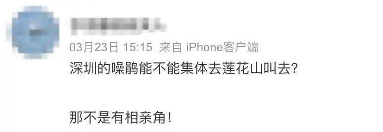 “周末想睡个懒觉都不行”<strong></p>
<p>满币网首页</strong>，有多少深圳人被这种鸟吵到神经衰弱