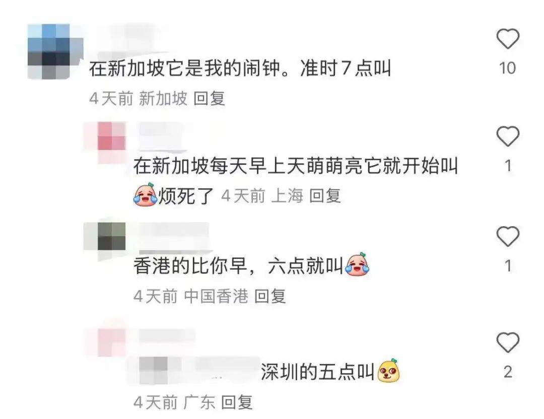 “周末想睡个懒觉都不行”<strong></p>
<p>满币网首页</strong>，有多少深圳人被这种鸟吵到神经衰弱