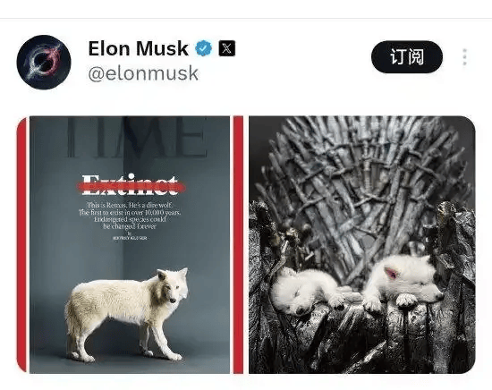 《权力的游戏》中的冰原狼被这家公司复活<strong></p>
<p>彩虹币兑换码</strong>，马斯克发帖关注