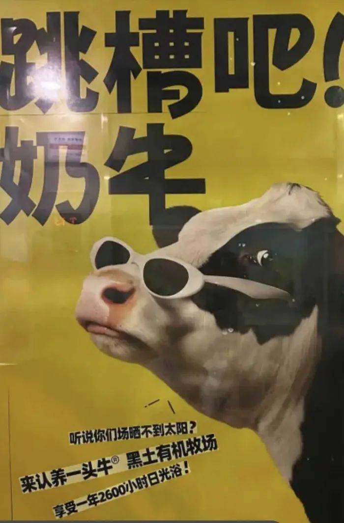 认养一头牛广告被质疑讽刺打工人<strong></p>
<p>全自动炒币软件</strong>,公司回应:致敬BOSS直聘