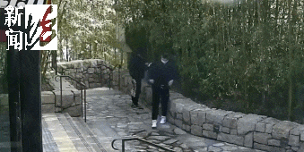 太猖狂！事发上海迪士尼<strong></p>
<p>佛系炒币</strong>，7人被刑拘