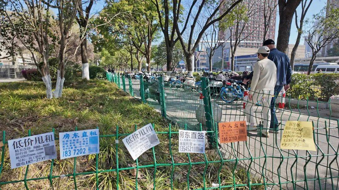 一二线城市房租普降<strong></p>
<p>佛系炒币</strong>，房东主动降200留我