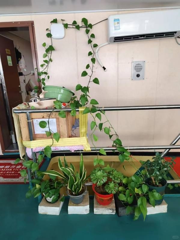 独家丨远洋渔船船长被害案嫌犯移送检方报捕<strong></p>
<p>佛系炒币</strong>,船上两段视频曝光