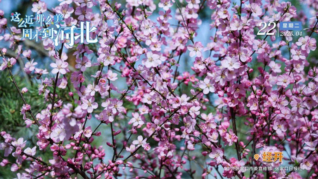 暂停使用<strong></p>
<p>第三套人命币</strong>!张家口市政水务有限责任公司最新通知→