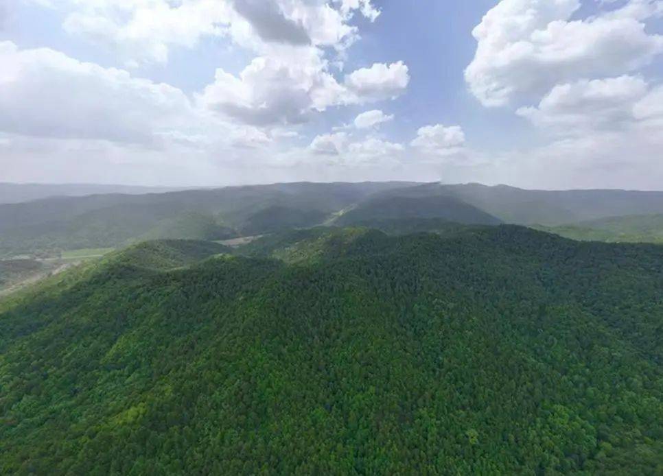 销声匿迹已有30年<strong></p>
<p>第三套人命币</strong>，华北豹正逐渐接近北京——