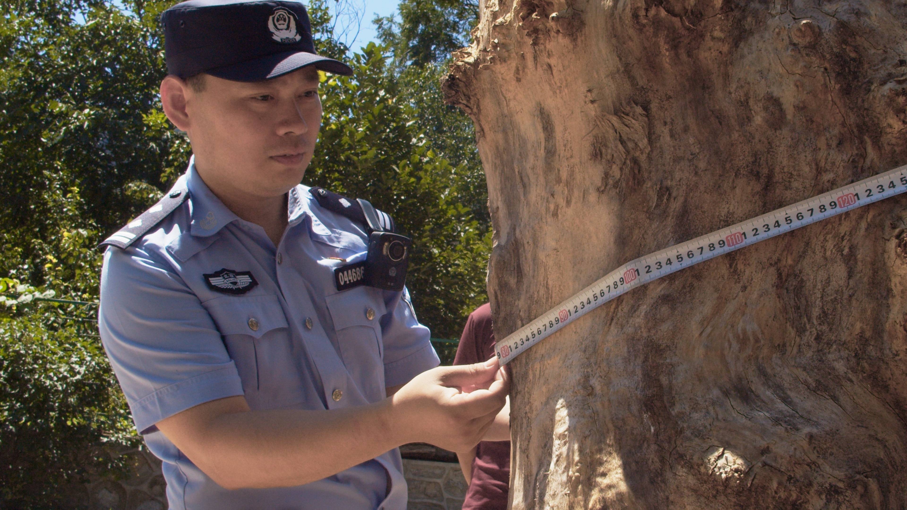 森林警察韩孟祺:乔装成驴友潜伏密林中<strong></p>
<p>大学生炒币</strong>,抓获“粘鸟”嫌疑人