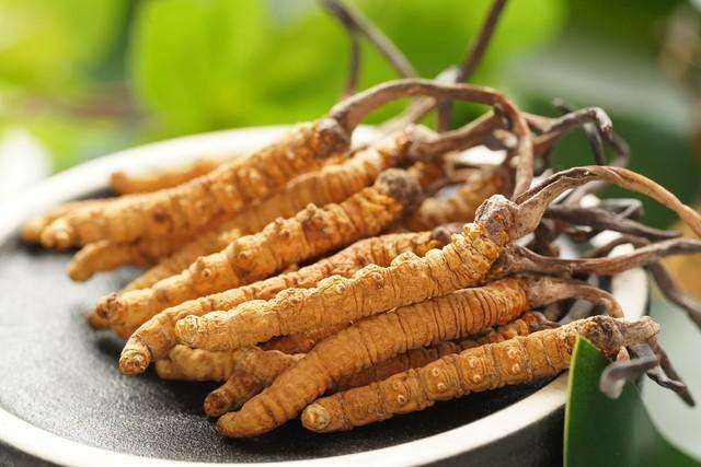 价值18万余元!男子在祁连山非法收购5632根冬虫夏草<strong></p>
<p>币加网</strong>,构成危害国家重点保护植物罪获刑