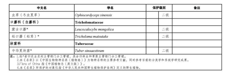 价值18万余元!男子在祁连山非法收购5632根冬虫夏草<strong></p>
<p>币加网</strong>,构成危害国家重点保护植物罪获刑