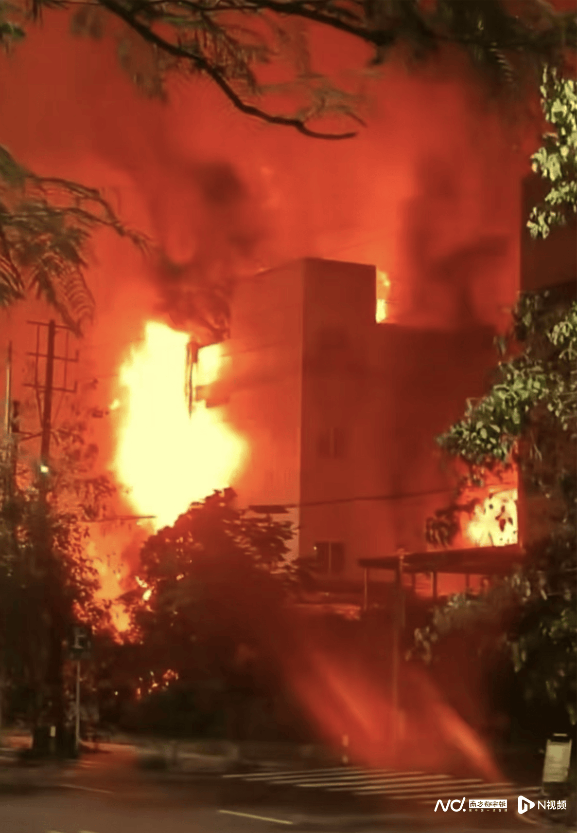 昨夜<strong></p>
<p>莱币网</strong>，中山一公司突发大火， 事发时火光冲天