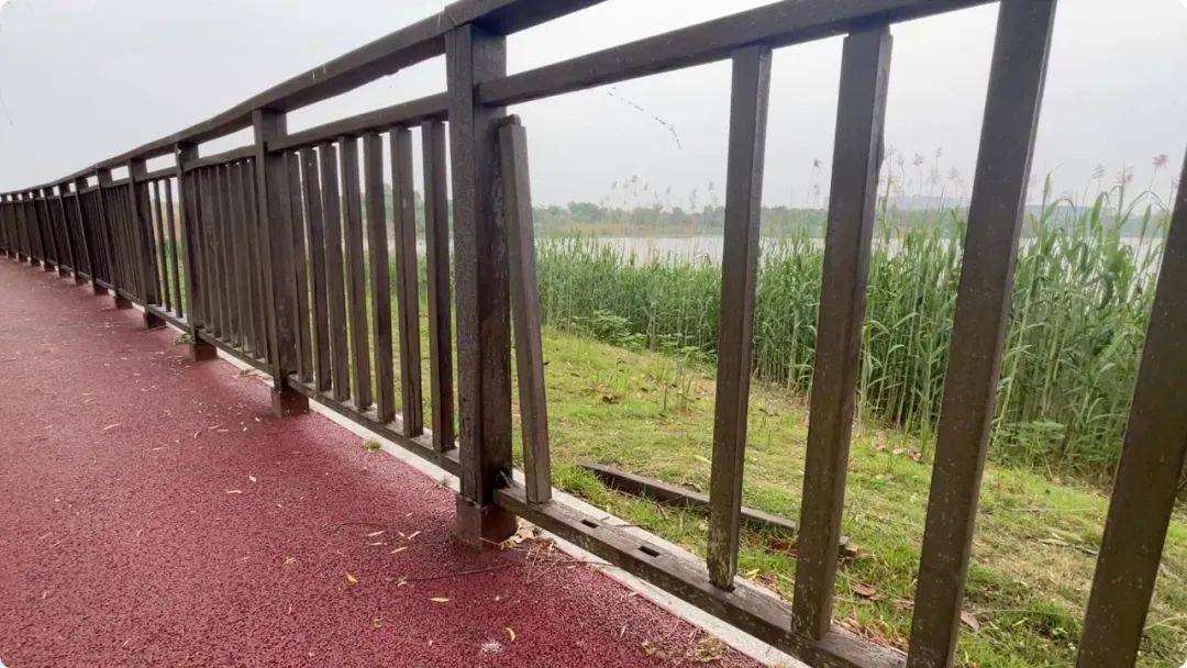 南京市市长陈之常走进直播间<strong></p>
<p>老虎币充值</strong>,现场责令核查燃气二次收费