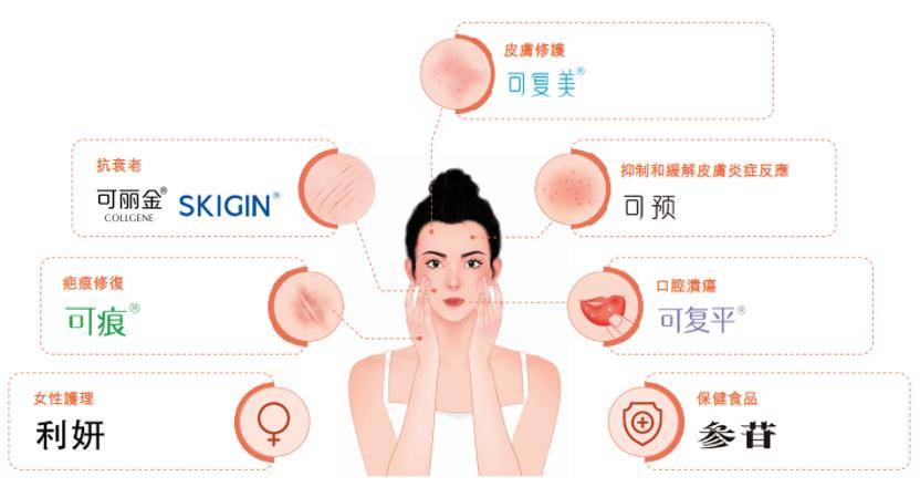 深挖 | “西北大学副校长范代娣成陕西首富”系乌龙<strong></p>
<p>老虎币充值</strong>,但她的人生如同开挂