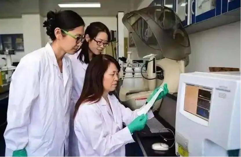 深挖 | “西北大学副校长范代娣成陕西首富”系乌龙<strong></p>
<p>老虎币充值</strong>,但她的人生如同开挂