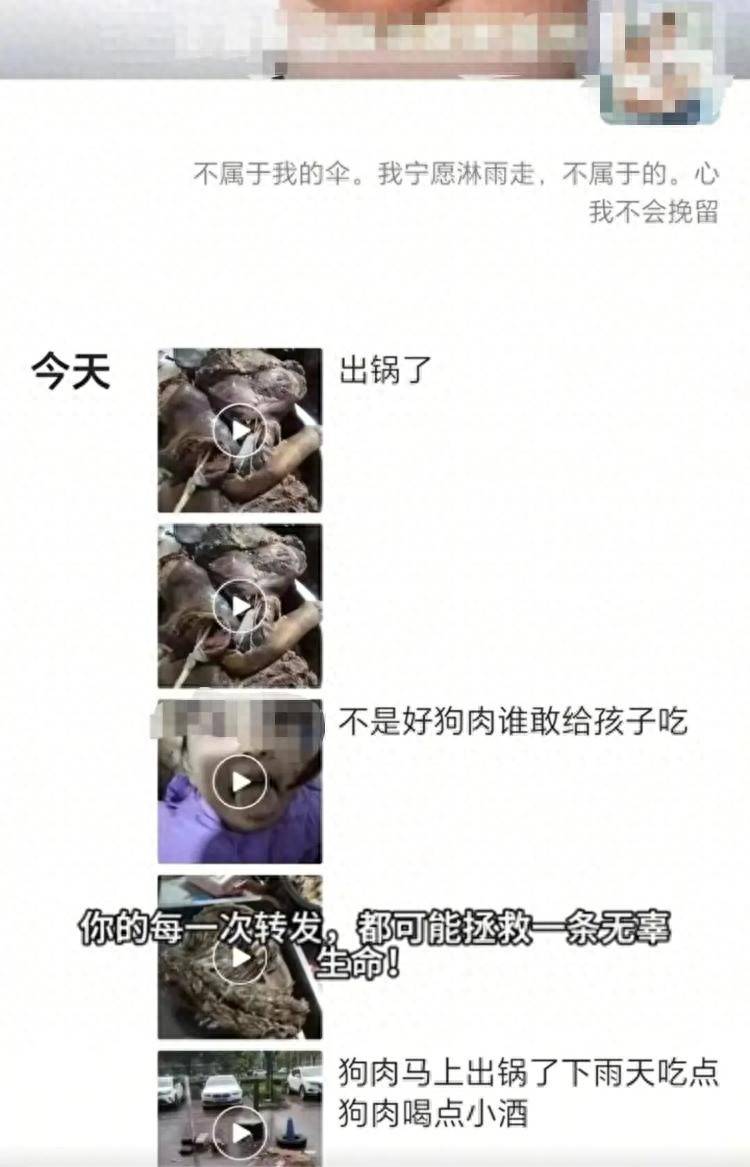 沈阳一店铺老板假借领养名义烹食流浪狗<strong></p>
<p>老虎币充值</strong>,警方:正在研讨处置