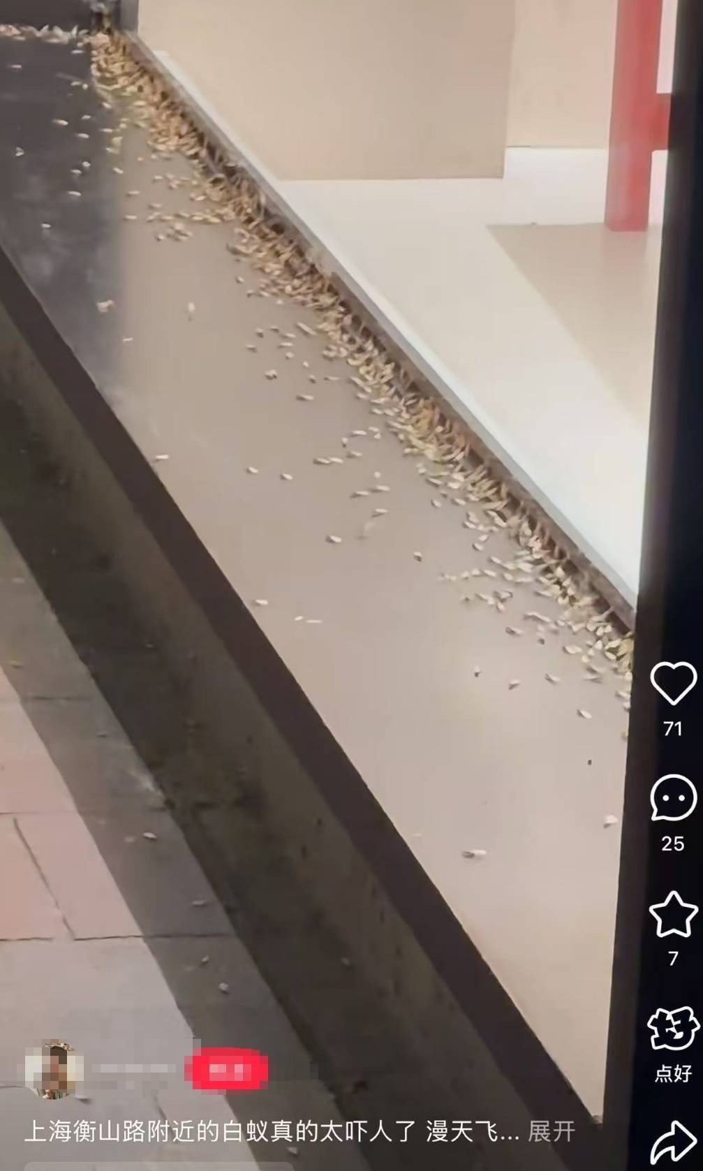 紧急提醒：瞬间爆发！上海市民崩溃：密密麻麻<strong></p>
<p>币圈财经</strong>，蠕蠕爬行...“梧桐区”已开始战斗，白蚁或提前分飞