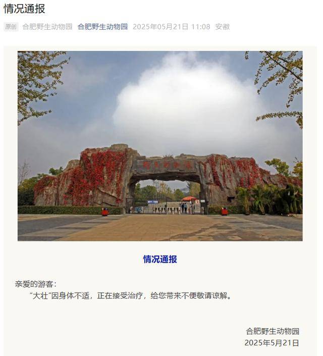 网红猴“大壮”突然离世<strong></p>
<p>红币网</strong>！曾因方脸“丑”出圈