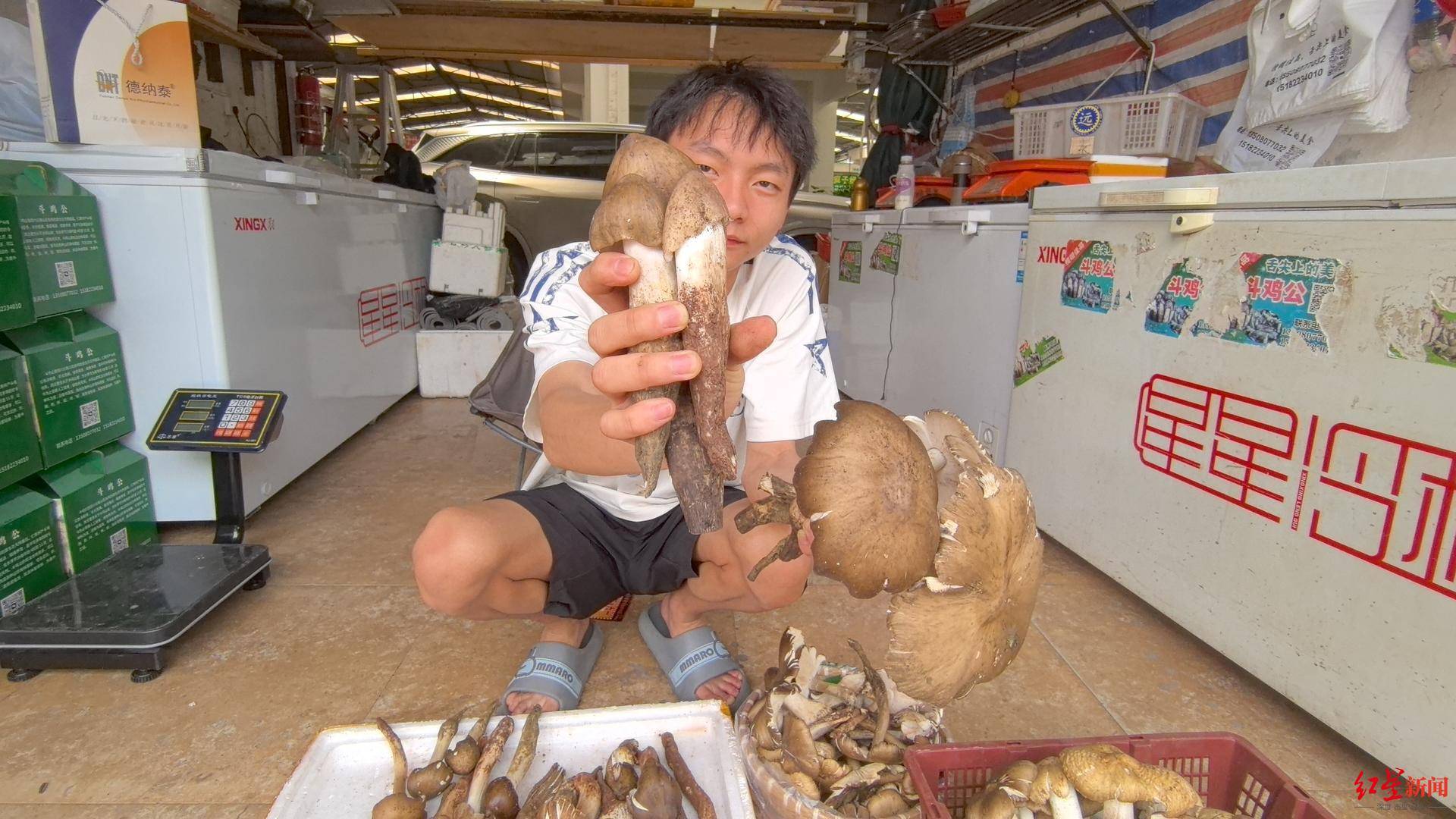 “天价”鸡枞调查:最贵卖到1800元/公斤!雨水少致产量低<strong></p>
<p>飞猪</strong>,多地价高客少