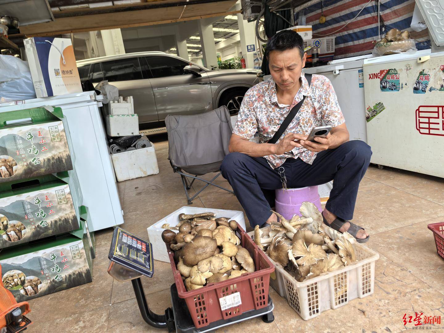 “天价”鸡枞调查:最贵卖到1800元/公斤!雨水少致产量低<strong></p>
<p>飞猪</strong>,多地价高客少