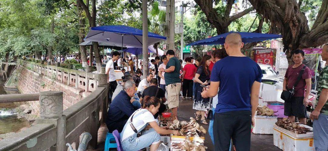 “天价”鸡枞调查:最贵卖到1800元/公斤!雨水少致产量低<strong></p>
<p>飞猪</strong>,多地价高客少