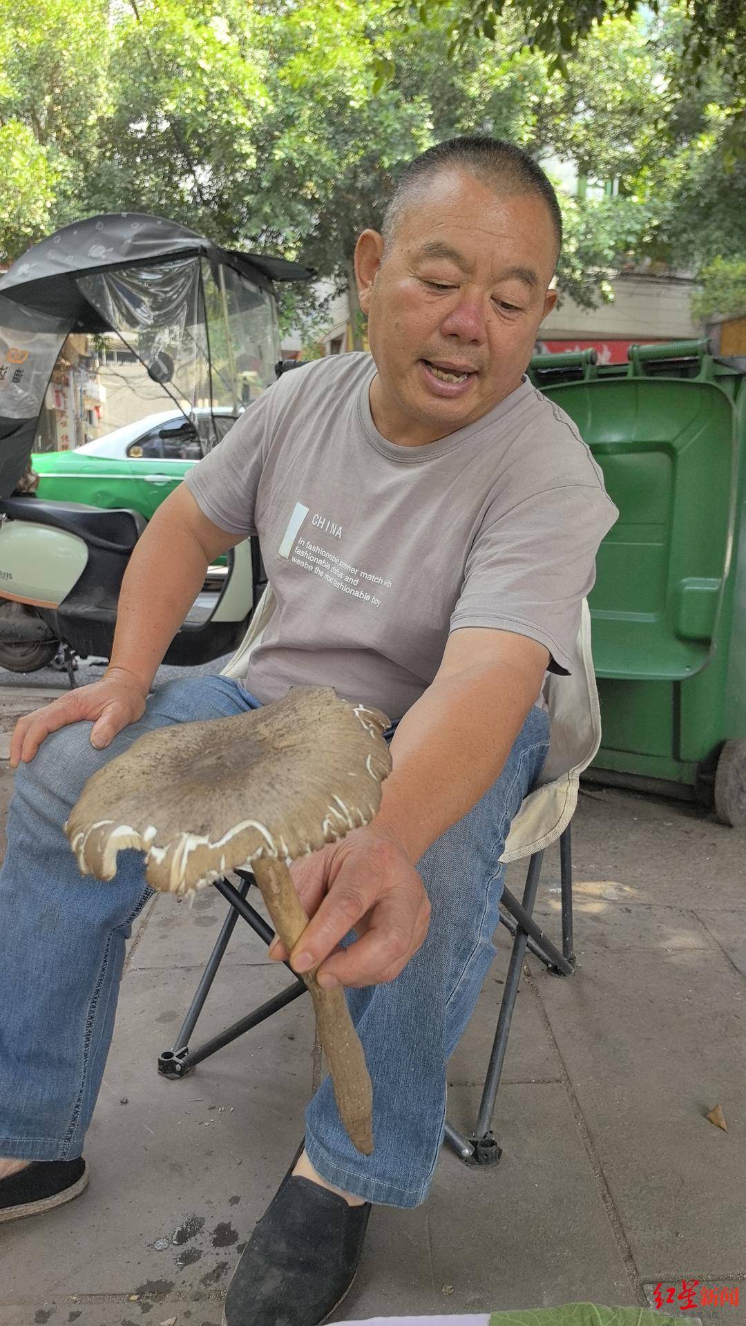 “天价”鸡枞调查:最贵卖到1800元/公斤!雨水少致产量低<strong></p>
<p>飞猪</strong>,多地价高客少