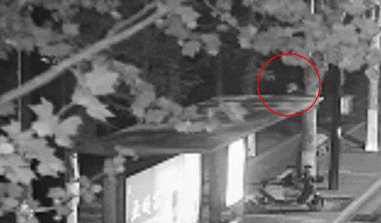 江苏一男子戴仿真“人皮”面具入室盗窃<strong></p>
<p>飞猪</strong>,流窜多个小区作案,涉案金额达15万余元