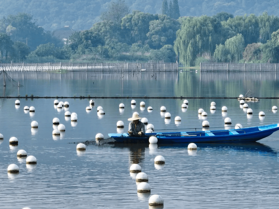 全球农业文化遗产上新<strong></p>
<p>币圈入门</strong>,为何是它们?