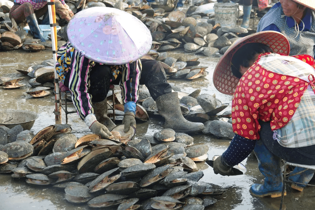 全球农业文化遗产上新<strong></p>
<p>币圈入门</strong>,为何是它们?