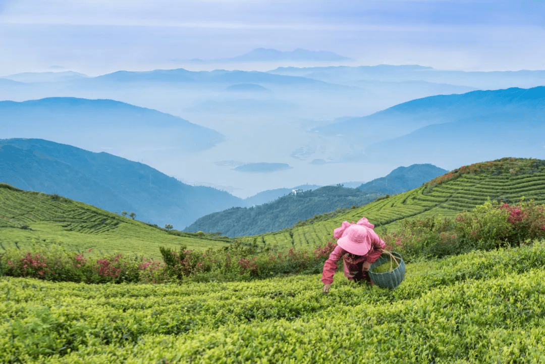 全球农业文化遗产上新<strong></p>
<p>币圈入门</strong>,为何是它们?