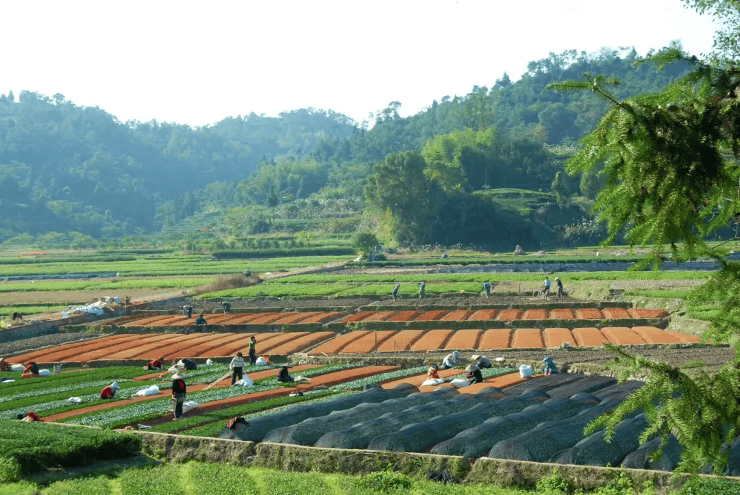 全球农业文化遗产上新<strong></p>
<p>币圈入门</strong>,为何是它们?