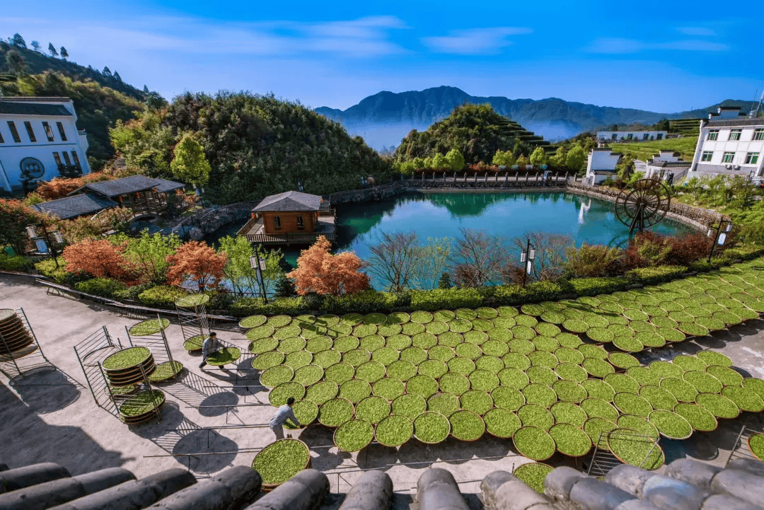 全球农业文化遗产上新<strong></p>
<p>币圈入门</strong>,为何是它们?