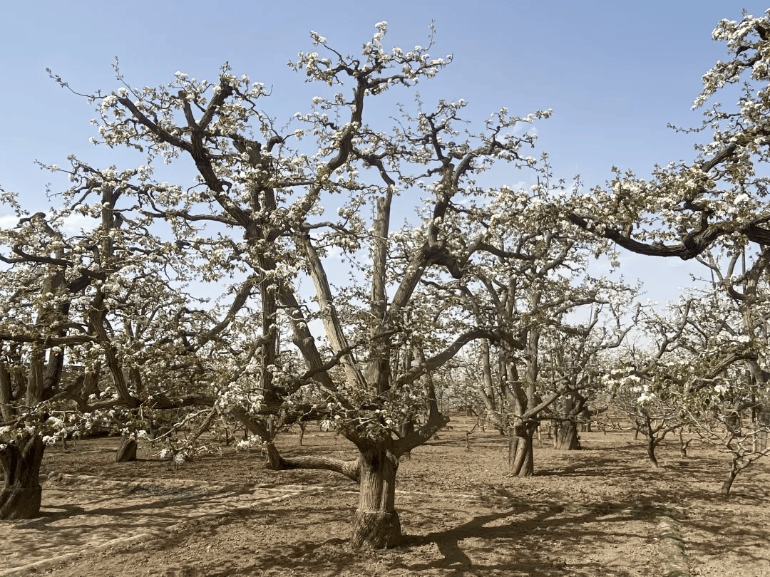 全球农业文化遗产上新<strong></p>
<p>币圈入门</strong>,为何是它们?