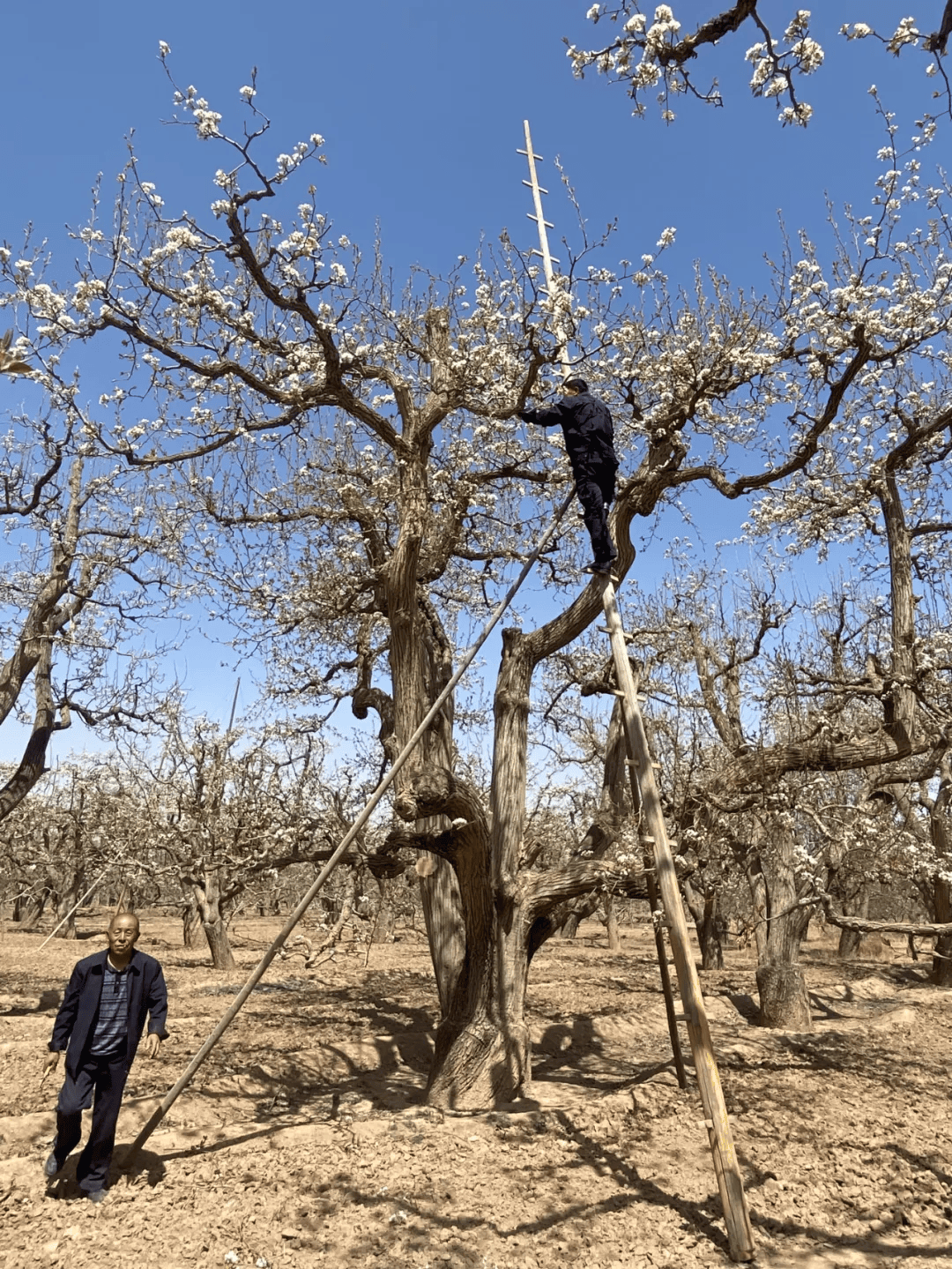 全球农业文化遗产上新<strong></p>
<p>币圈入门</strong>,为何是它们?