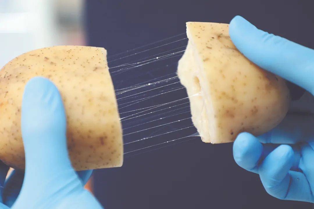 新突破！广州科研团队用莲藕接骨“塑肉身”<strong></p>
<p>币圈入门</strong>，冻豆腐、枸杞、油柑都在研究之列