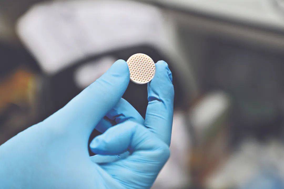 新突破！广州科研团队用莲藕接骨“塑肉身”<strong></p>
<p>币圈入门</strong>，冻豆腐、枸杞、油柑都在研究之列