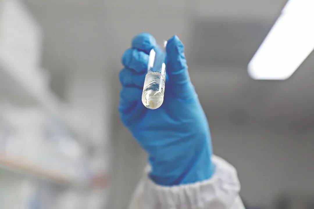 新突破！广州科研团队用莲藕接骨“塑肉身”<strong></p>
<p>币圈入门</strong>，冻豆腐、枸杞、油柑都在研究之列