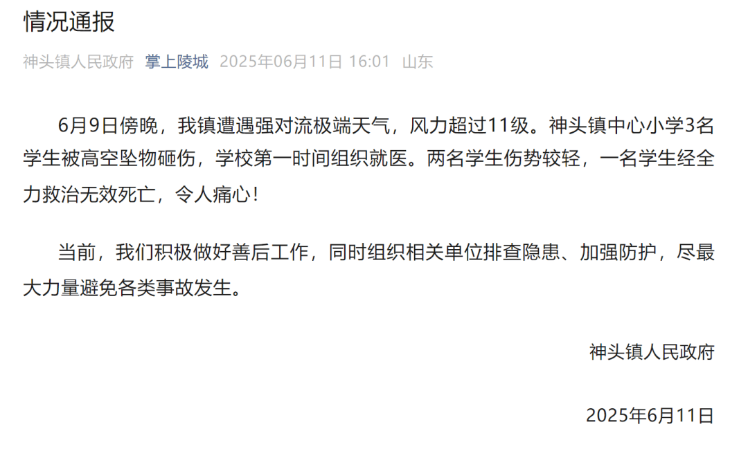 山东德州通报“小学楼顶光伏板掉落砸中多名学生”：3名学生被砸伤<strong></p>
<p>油币资讯</strong>，1名学生经全力救治无效死亡