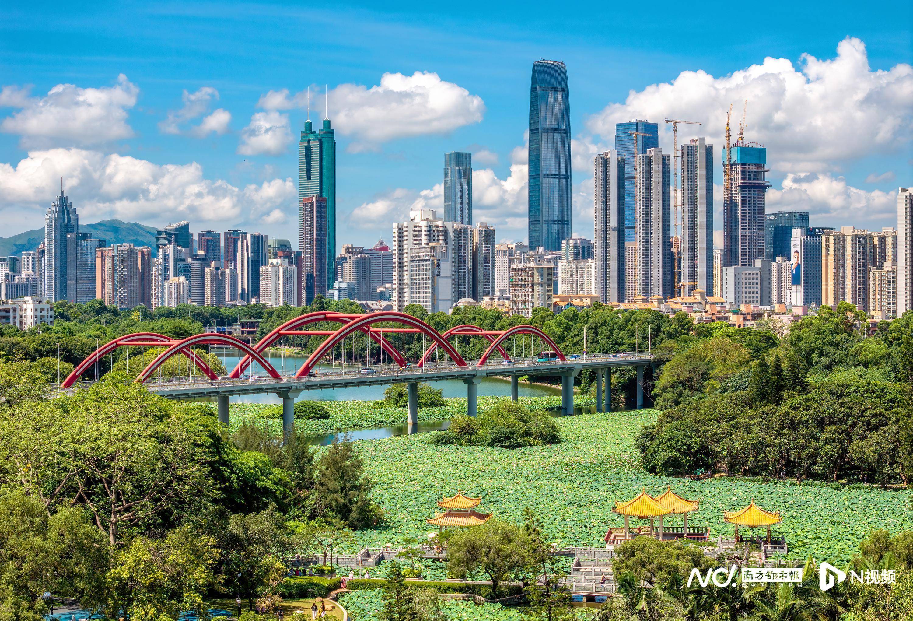 慕了！深圳人太幸福<strong></p>
<p>油币资讯</strong>，家门口邂逅百万荷花，城市诗意直接拉满